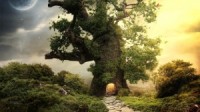 Fantasy house tree  wallpaper
