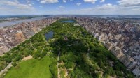 Gorgeous panorama of central park wallpaper