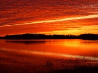 Nine Mile Pond at Sunrise, Everglades, Florida