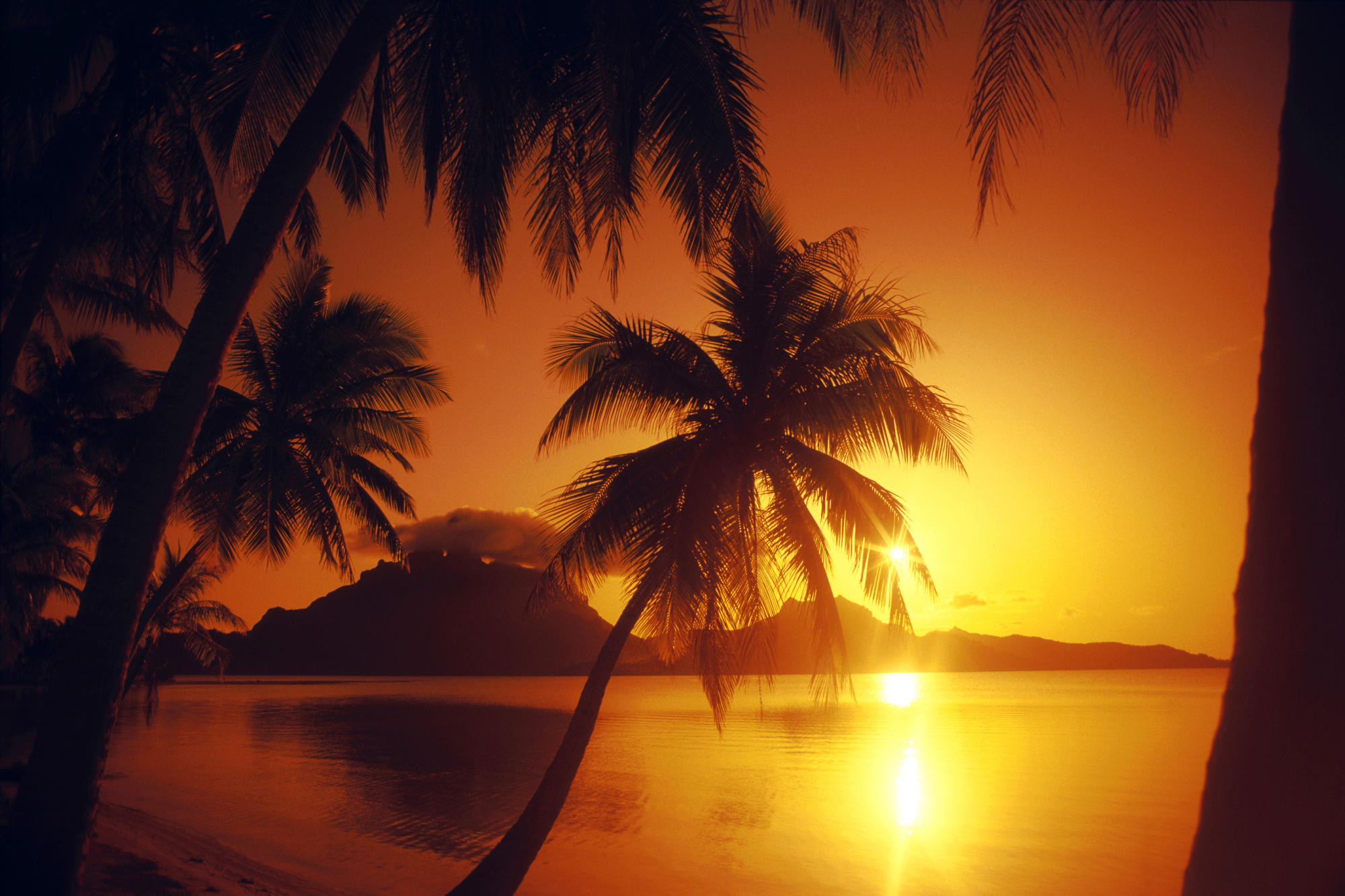 Polynesian Sunset, Bora Bora