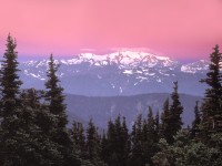 Sunrise Over Mount Olympus,  Olympic National Park, Washington