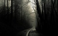 the dark forest road wallpaper