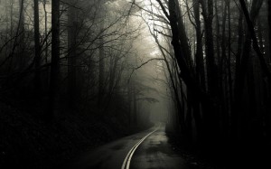 the dark forest road