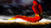 Parrot cool wallpapers