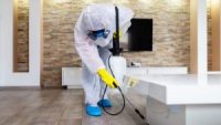 How to Clean and Sanitize Your Home